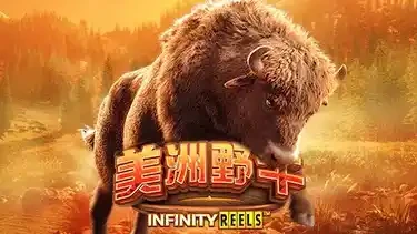 美洲野牛游戏-开云体育